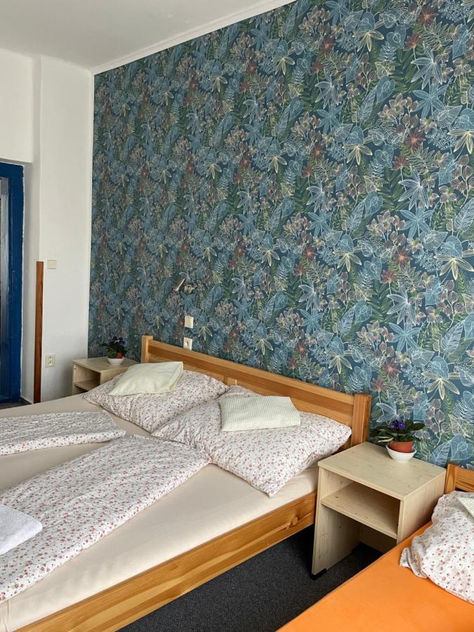 Penzion Slunecnice Dvur Králové nad Labem Exterior foto